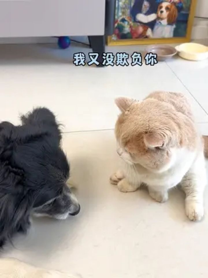 我三姐也不是好欺负的