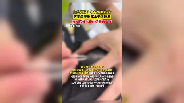 白头发拔了,会长出黑发吗?