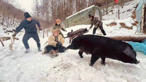 极寒之地杀大肥猪，剔骨切肉百人宴，酒肉穿肠整个村都沸腾了