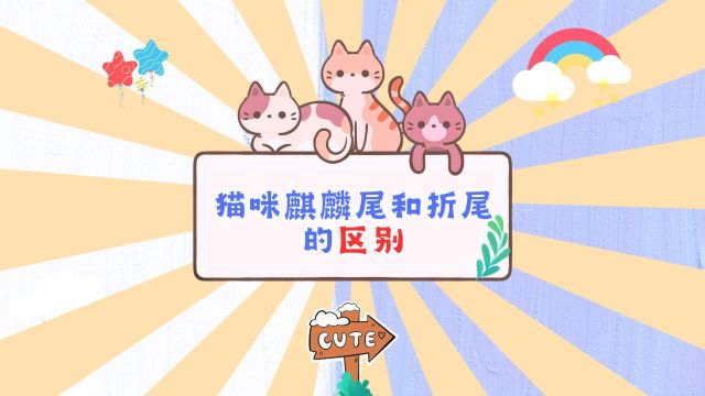 麒麟尾猫和折尾猫有什么区别吗?