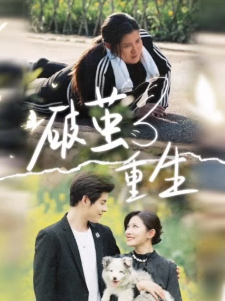 热播新剧979797 《破茧重生》抢先看全集