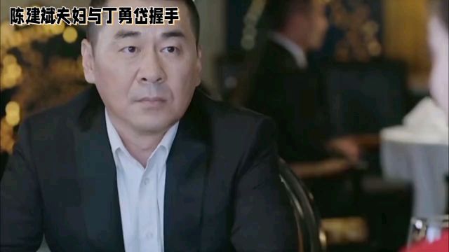 陈建斌夫妇与丁勇岱握手事件:礼仪之失还是文化误解?