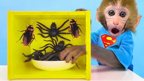 有趣的小猴子：小猴子挑战恐怖盲盒游戏，会发生哪些有趣的事？