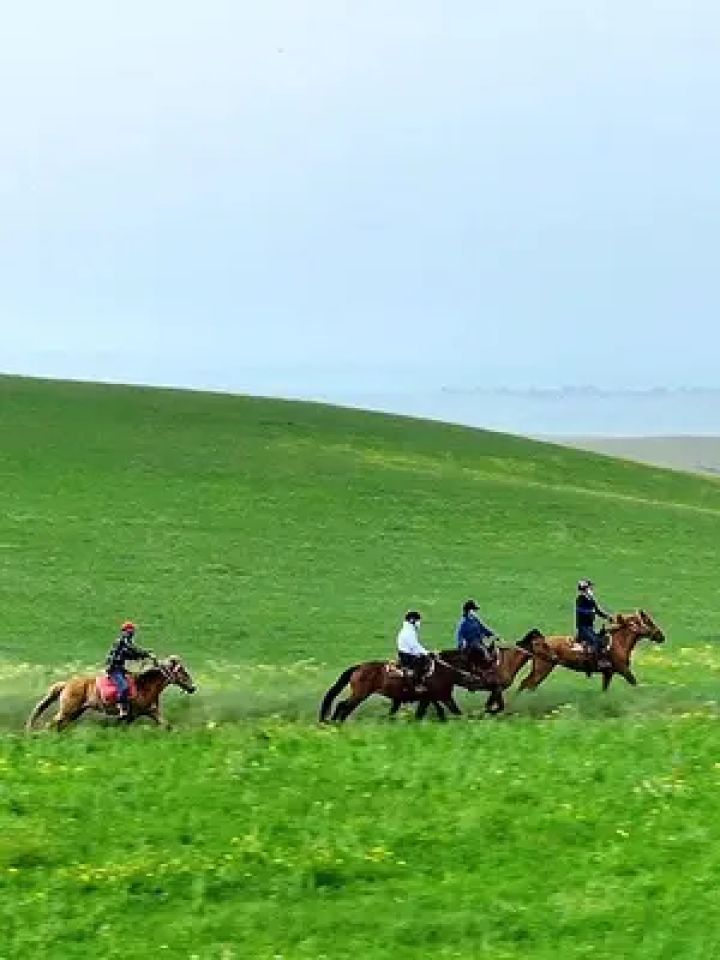 骑马旅行#呼伦贝尔旅游攻略 #呼伦贝尔大草原旅游攻略 #我们一起策马