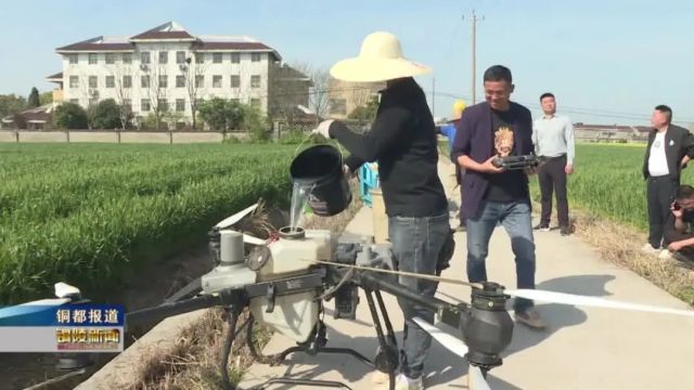 【推动三次产业高质量协同发展ⷨš焦粮食安全】 专家来把“麦” 守好“粮袋子”