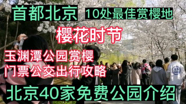 首都北京10处最佳赏樱地,玉渊潭公园赏樱门票公交出行攻略,旅游