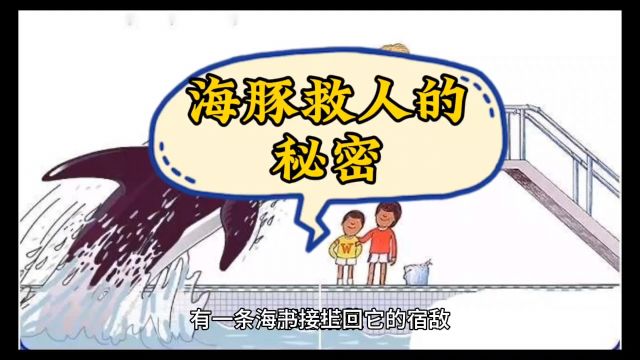 海豚救人的秘密(二)