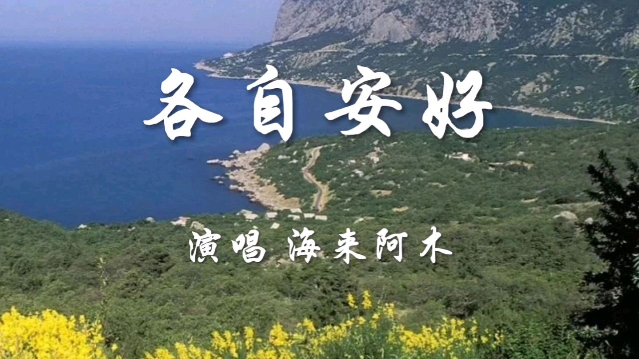 总有那么一首歌能唱进你的心里《各自安好》