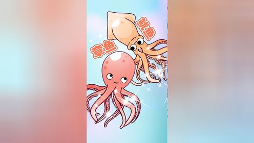 鱿鱼章鱼八爪鱼,好吃的才是好鱼 鱿鱼章鱼八爪鱼,好吃的才是好鱼