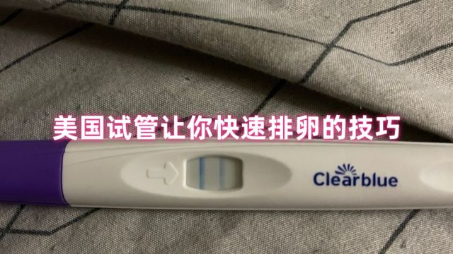 美国试管让你快速排卵的技巧