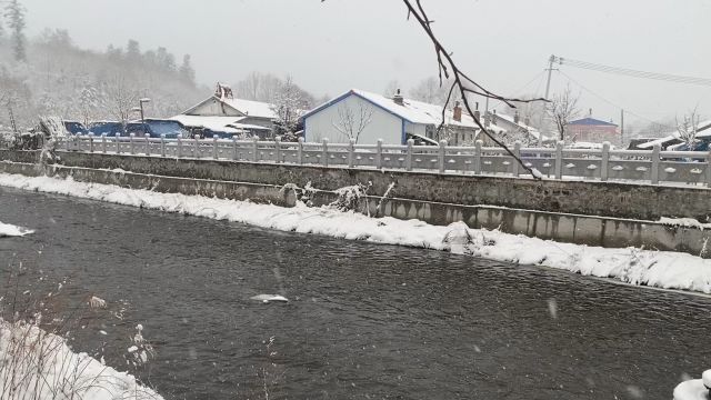 大河两边随手拍,春天的雪,还是那么美