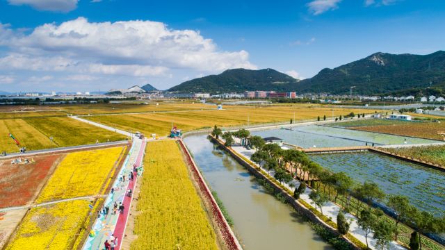 备用通道备用通道备用通道备用通道