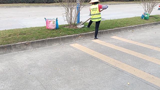 花都绿化能顶替南宁绿都的称号,光是配备的阿姨清洁工就强大阵仗