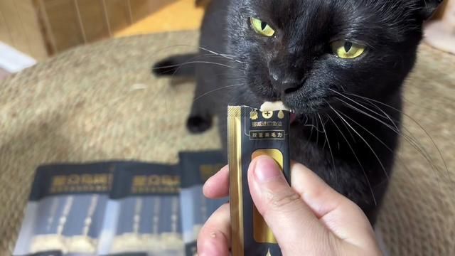 比瑞吉新出的乌鸡鱼油猫条,喜欢吃猫条的小猫可别错过了,现在推广很划算#比瑞吉 #猫零食