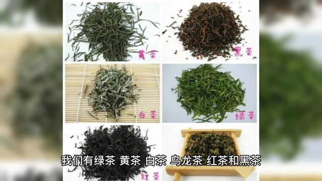 「茶文化」茶叶分类指南助你了解茶叶!