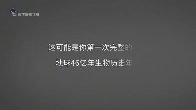 生物历史年表,从月球诞生到人类文明,献给每一位存在过的生灵,感受地球46亿年的奇迹! #科普 #涨知识 #探索地球 #史前星球 #古生物 #史前巨兽#生物...