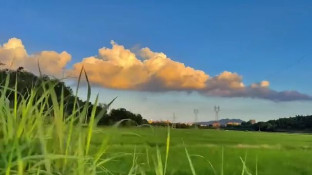 让我沉溺的夏天傍晚