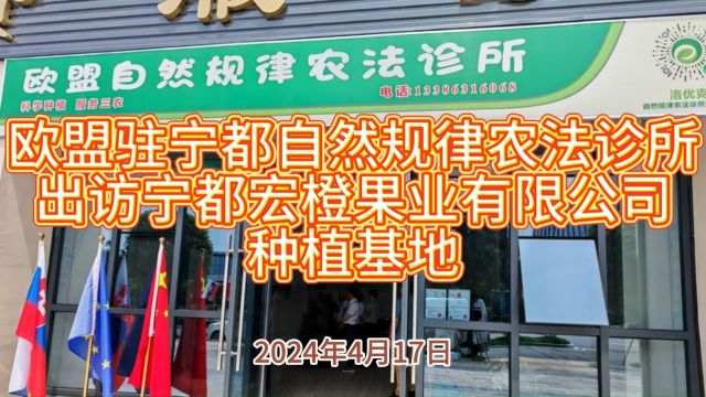 欧盟驻宁都自然规律农法诊所出访宁都宏橙果业有限公司种植基地