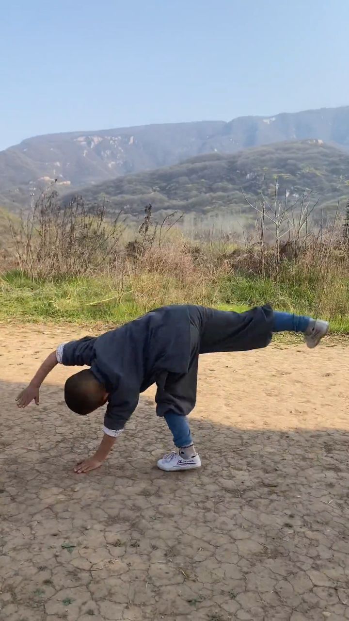 拳练百遍,身法自然,拳练千遍,其理自见.少林寺释延淀少林三宝少林功夫