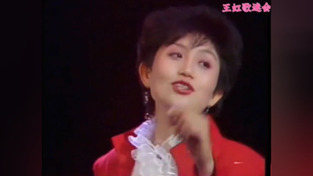 王虹-难忘的一刹