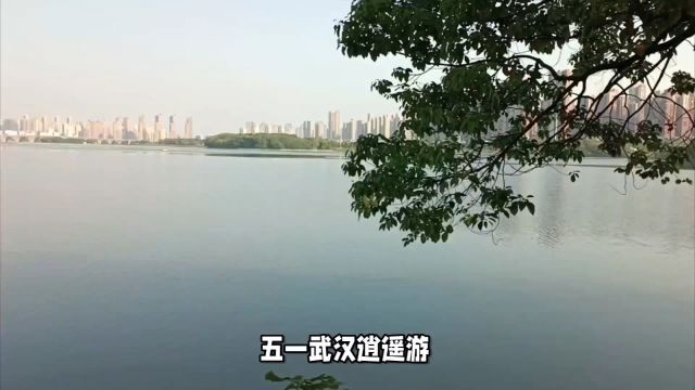 五一武汉游新体验:汤逊湖赏景、八分山探古,尽享悠闲时光