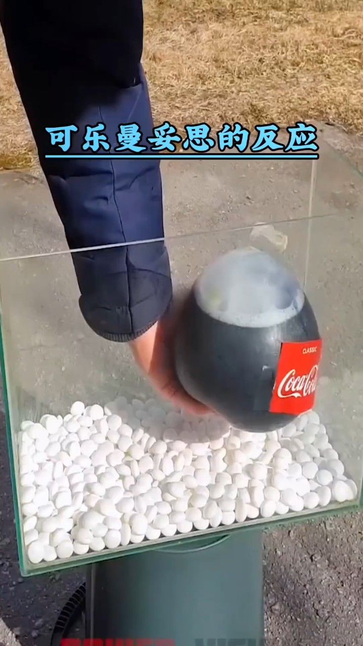 可乐曼妥思的反应