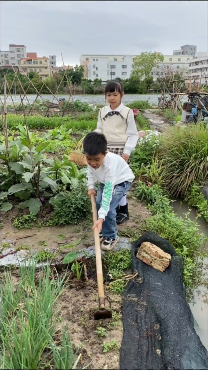 妈妈,只要有杰杰莹莹在,你就什么都不缺