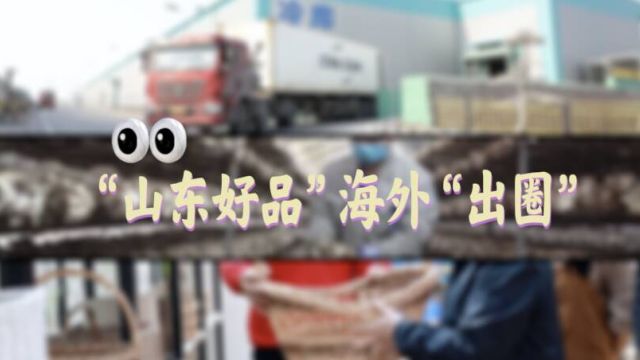 发展新质生产力 助力“山东好品”海外出圈!