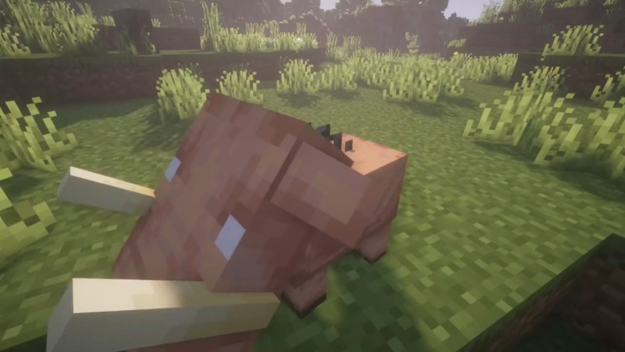 几个我的世界关于疣猪兽的冷知识