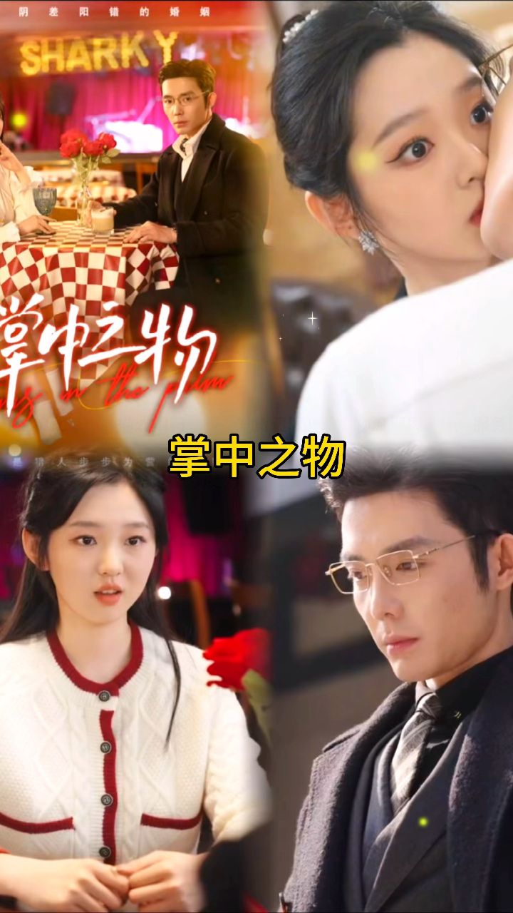 掌中之物大结局