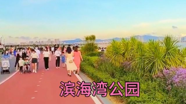 广东东莞经济第一镇滨海湾新区公园,公园免费是个拍照打卡好地方