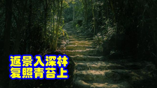 品鉴唐诗 返景入深林 复照青苔上 王维 《鹿柴》