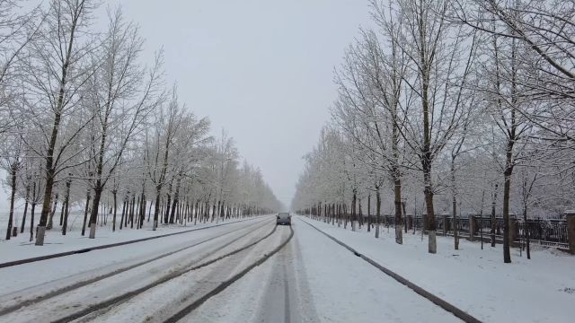 快五月了还雪花飘飘?河北承德出现降雪天气❄️