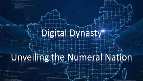 《数字王朝:揭开数字国家的面纱Digital Dynasty Unveiling the Numeral Nation》