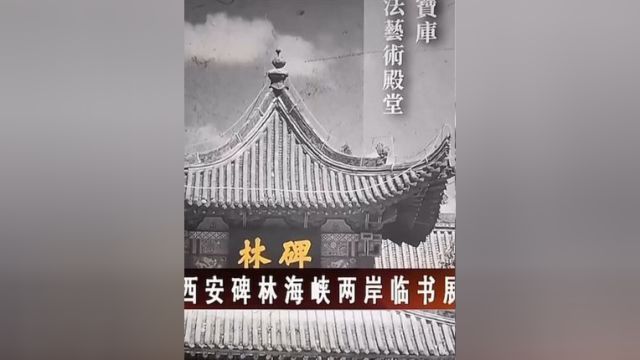 西安碑林海峡两岸临书展在台北登场(来源:央视新闻)