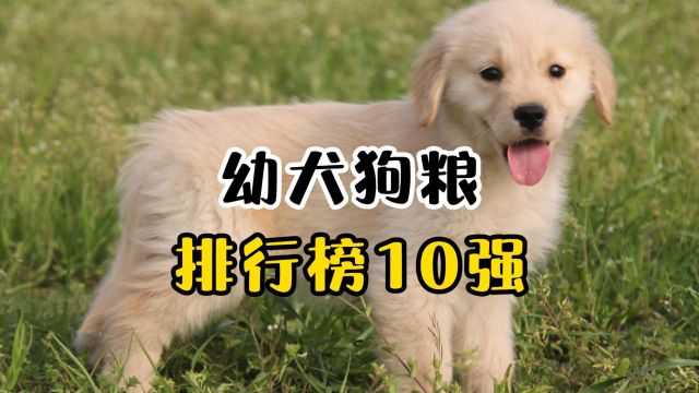 幼犬狗粮排名前十品牌,你家的上榜了吗?