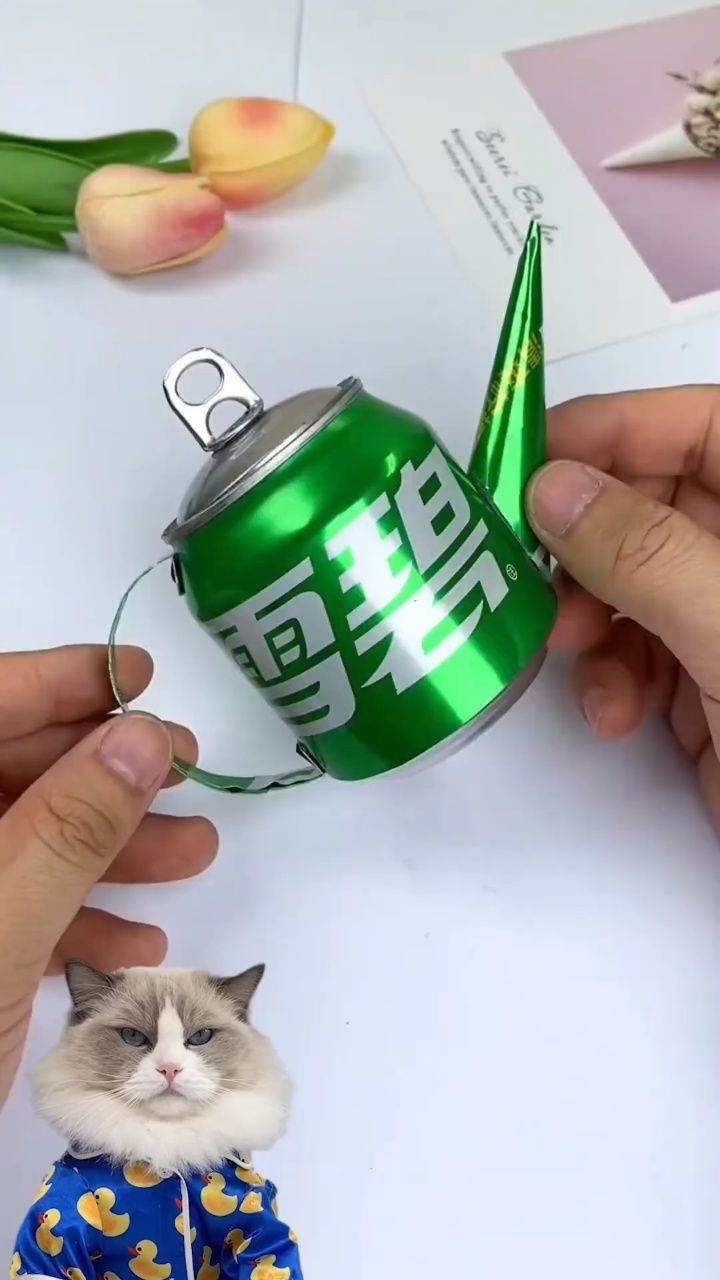 易拉罐水瓶二次利用