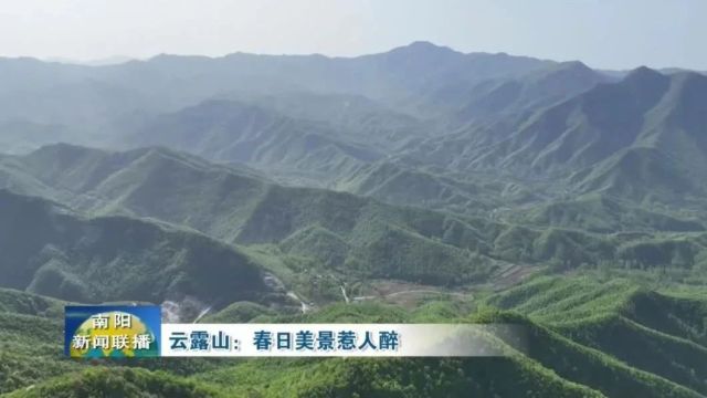 美丽中国|中华名山系列《河南云露山》世外天然药圃(4A)