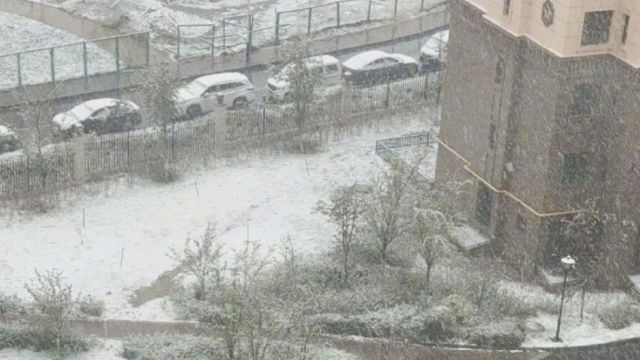 新疆乌鲁木齐四月飞雪!雪花飘飘洒洒 当地网友纷纷晒雪景