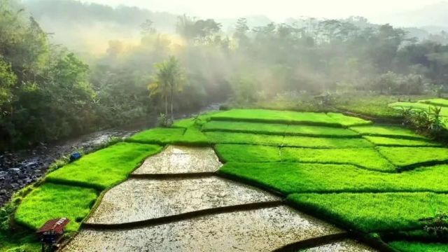 青年科学家百城行|以新质生产力引领种业振兴,青年科学家在行动