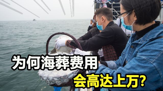 海葬竟高达上万?不就是将骨灰撒海里,为何会那么贵?