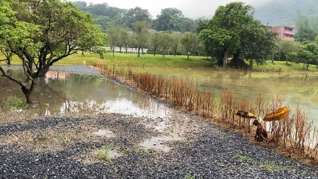 大雨过后这里的风景真好看