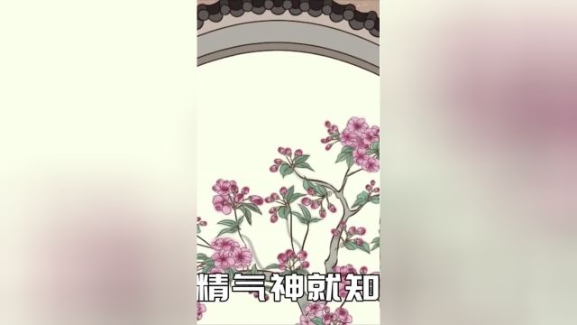 人有三宝:精、气、神,善养三宝身体棒,老祖宗的养生之道要学习三宝精气神养生修生养息