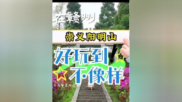 在赣州崇义阳明山,好玩到不像样! (供稿:崇义县融媒体中心) #江西小炒赣州菜 #江西是个好地方 #游历中国赣州篇