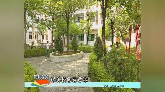 潮阳全区各中小学!开展...