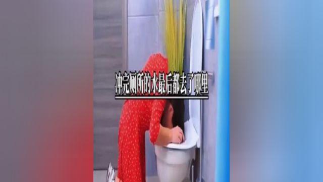 冲完厕所的水最后都去了哪里