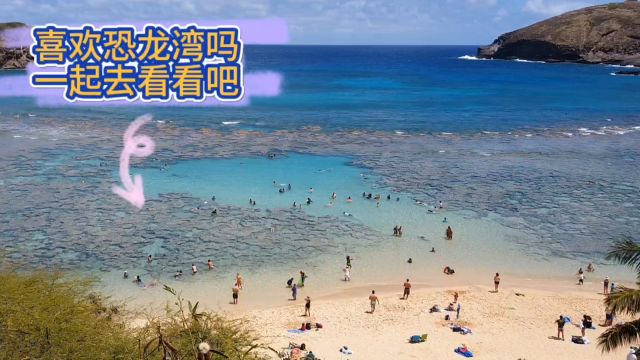 夏威夷恐龙湾,浮潜圣地.