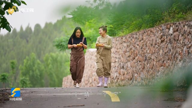 新沂蒙采华之滋追蜂少女张小牛养蜂女孩张宁 张晴