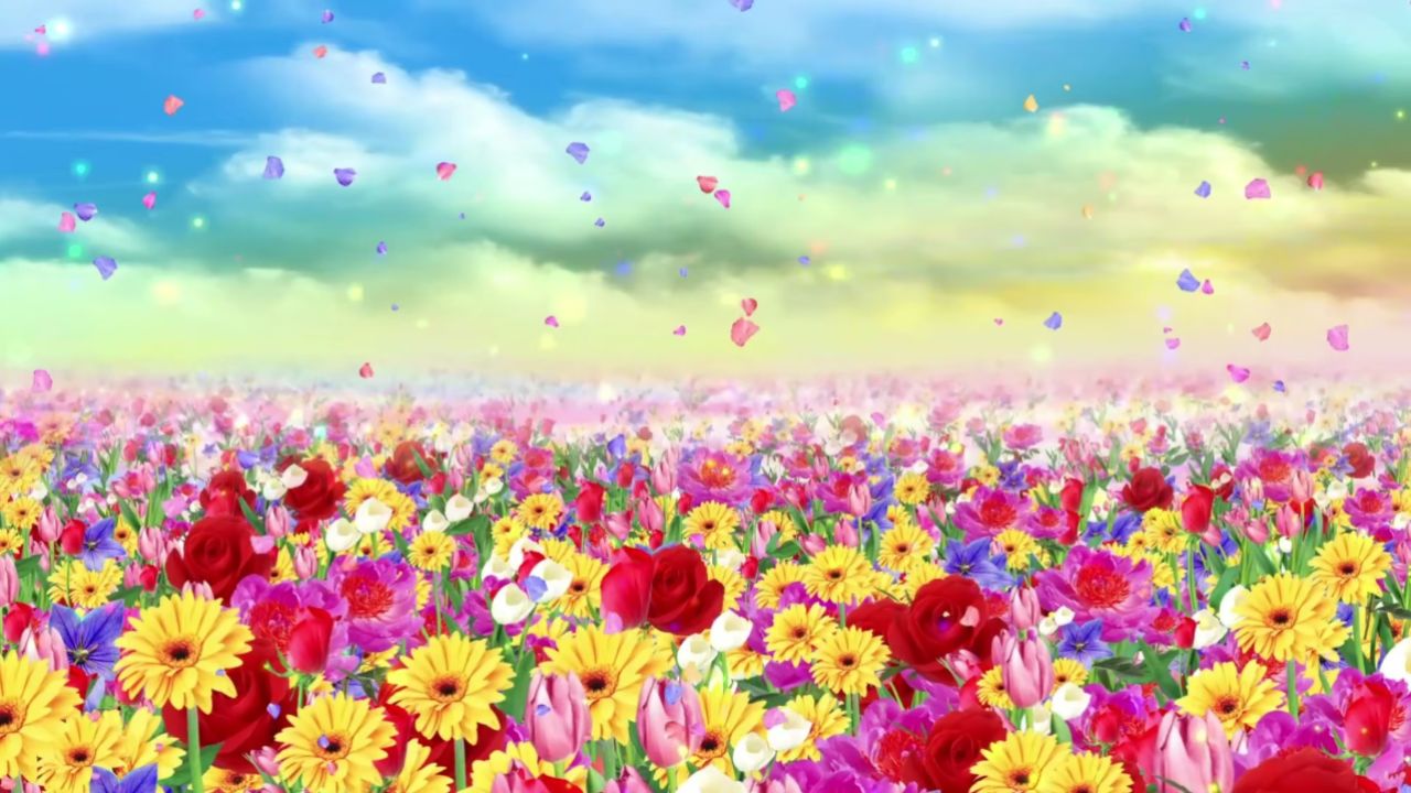 唱花儿的花儿02led高清大屏幕演艺舞台背景视频