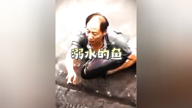 素材来源大爷救一条溺水的鱼